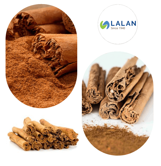 True Cinnamon by Lalan - Premium Ceylon Cinnamon Products